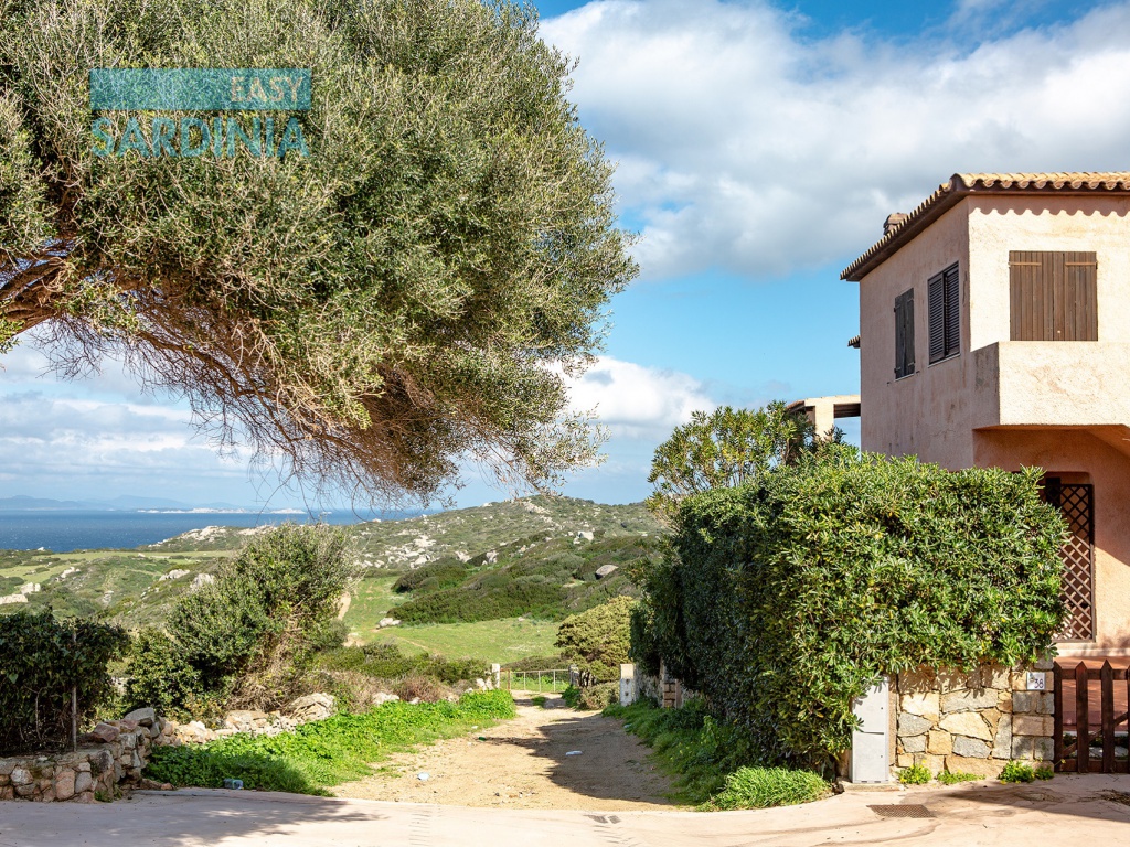 Strada La Ficaccia, La Ficaccia, Santa Teresa Gallura, SS, Sardegna, Italy, 2 Camere da Letto Camere da Letto, 3 Stanze Stanze,1 BagnoBagni,Trilocale,In vendita,Strada La Ficaccia,1315