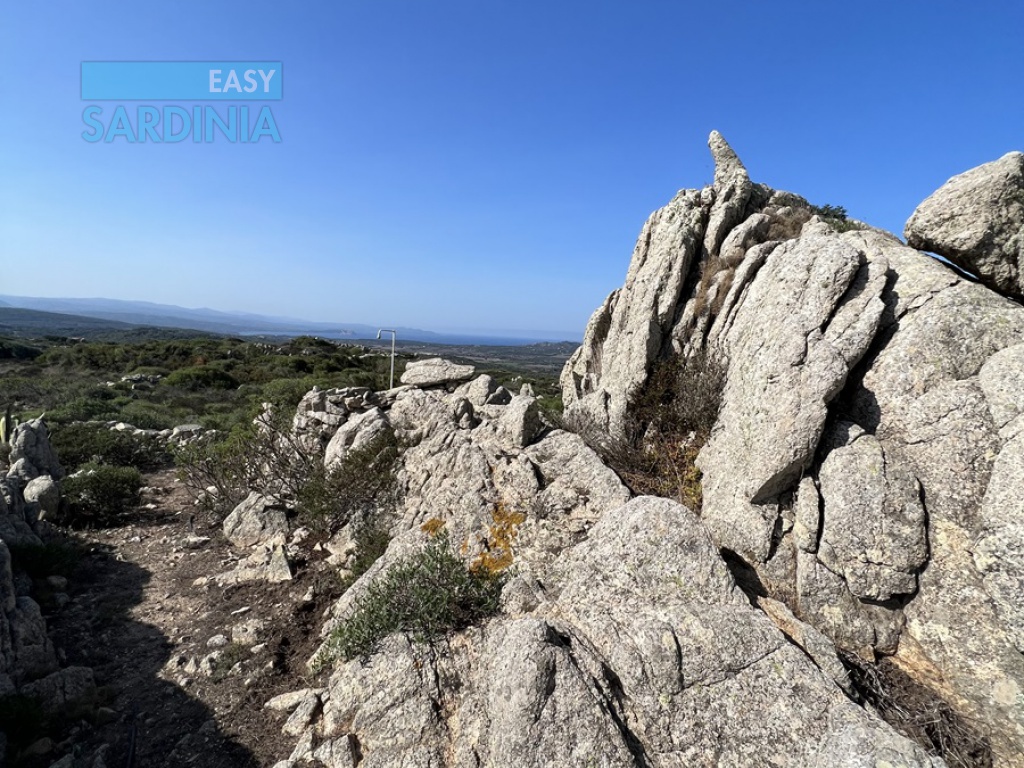 Via Li Lioni, Capizza di Vacca, Santa Teresa Gallura, SS, Sardegna, Italy, 3 Camere da Letto Camere da Letto, 4 Stanze Stanze,2 BagniBagni,Villa,In vendita,Via Li Lioni,1434