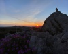 Via Li Lioni, Capizza di Vacca, Santa Teresa Gallura, SS, Sardegna, Italy, 3 Camere da Letto Camere da Letto, 4 Stanze Stanze,2 BagniBagni,Villa,In vendita,Via Li Lioni,1434