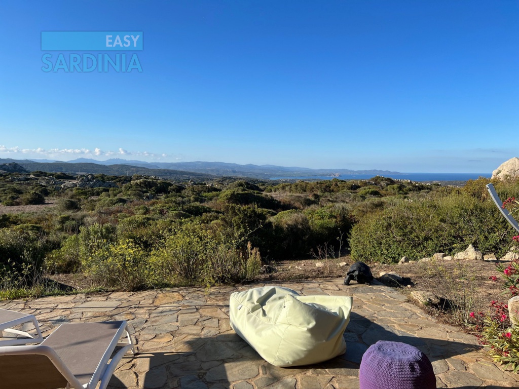 Via Li Lioni, Capizza di Vacca, Santa Teresa Gallura, SS, Sardegna, Italy, 3 Camere da Letto Camere da Letto, 4 Stanze Stanze,2 BagniBagni,Villa,In vendita,Via Li Lioni,1434